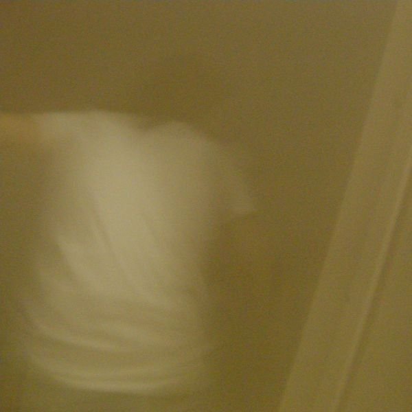 T_DSCN8844