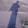 T_DSCN8130AA
