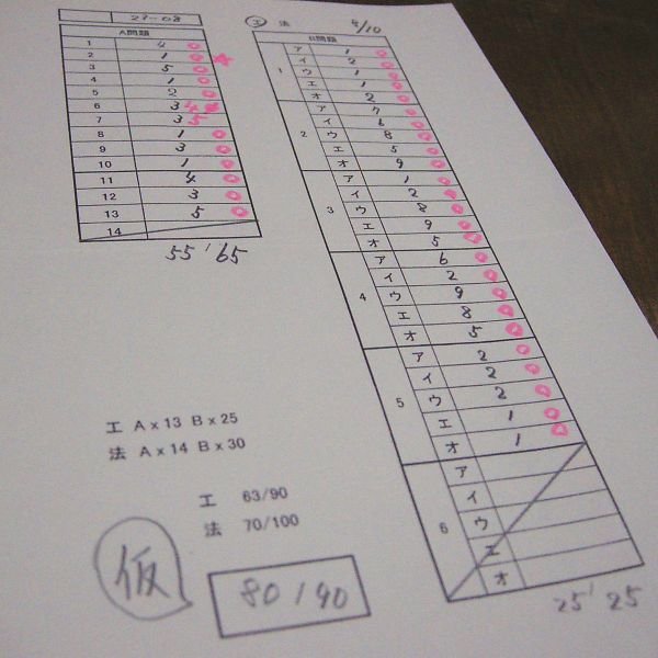 T_DSCN8651
