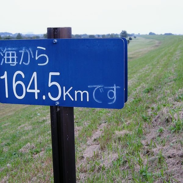 T_DSCN9209
