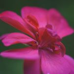 T__DSC3227 T__DSC3227