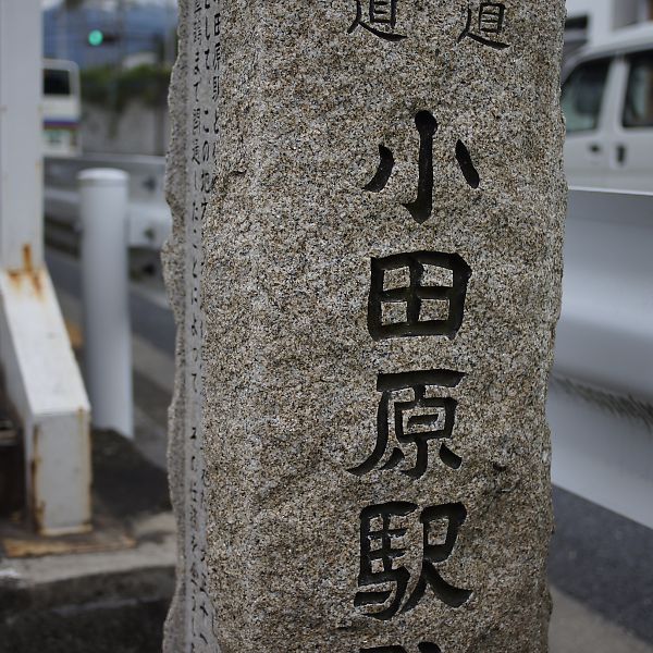 T__DSC3533