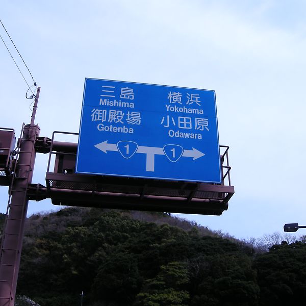 T_DSCN0095