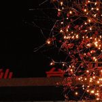T_DSCN9558