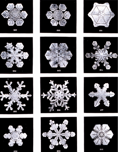 Snowflakes