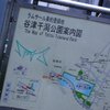 T_dscn5929