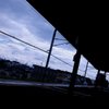T_dscn6544