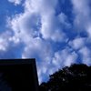 T_dscn8751