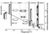 Nelsondiagram2